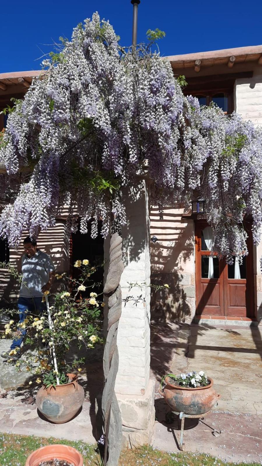 El Ensueno Vila Tilcara Exterior foto